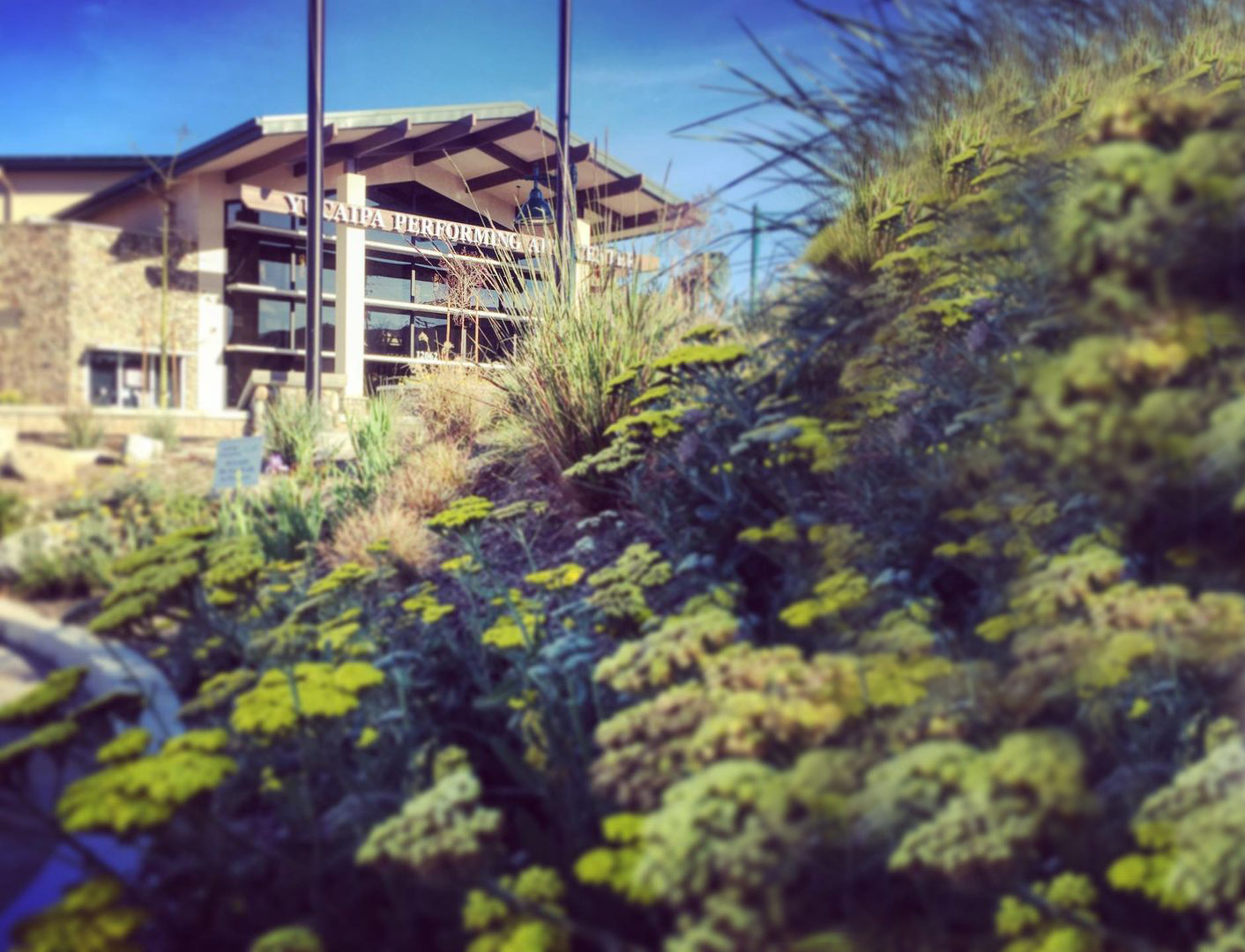 Yucaipa Performing Arts Center